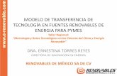 Presentación de PowerPoint - nist.gov · modelo de transferencia de tecnologÍa en fuentes renovables de energia para pymes taller regional: ... experiencia nacional en financiamiento
