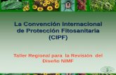 La Convención Internacional de Protección Fitosanitaria (CIPF) · Implementación y Intercambio de Información 6. Asistencia Técnica. La CIPF 173 NACIONES PROTEGIENDO LAS PLANTAS