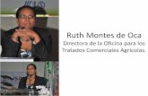 Ruth Montes de Oca - Instituto Interamericano de ...legacy.iica.int/Esp/regiones/caribe/repDominicana/Documents... · Comisión Internacional de Protección Fitosanitaria CIPF-FAO.