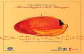 Primera Edición, 2016 - ciatej.mx · 3.2.1 Formulación de la mermelada de mango. ..... 53 3.2.2 Proceso y condiciones de operación a nivel laboratorio para la obtención de la
