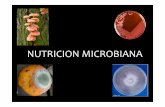 NUTRICION MICROBIANA - sgpwe.izt.uam.mxsgpwe.izt.uam.mx/files/users/uami/aura/NUTRICION_MICROBIANA.pdf · NUTRICION MICROBIANA •Dichas sustancias se denominan nutrientes •Los
