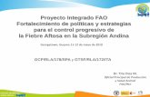 Proyecto Integrado FAO Fortalecimiento de políticas y ... · • Estrategias para grupos especiales, zonas de alta vigilancia. Concienciación y Educomunicación. ... •Taller para
