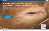 Exploración ocular y pruebas complementarias - Axonaxonveterinaria.net/web_axoncomunicacion/criaysalud/50/Exploracion... · Exploración ocular y pruebas complementarias Luis Miguel