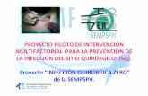 PROYECTO PILOTO DE INTERVENCIÓN … · proyecto piloto de intervenciÓn multifactorial para la prevenciÓn de la infecciÓn del sitio quirÚrgico (isq). proyecto “infecciÓn quirÚrgica