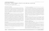 Neumol Pediatr 2012; 7 (2): 72-83. artículo original ... · endoscopia virtual dan un apropiado estudio anatómico; sin embargo es necesario considerar que a pesar de la rápida