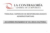 ACUERDO PLENARIO N° 01-2013-CG/TSRA · Principio respecto a un caso de concurrencia de responsabilidad administrativa funcional y responsabilidad penal Acuerdo Plenario N ...