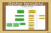 Sector terciario - sb535e68b55636883.jimcontent.com · Importancia del sector terciario en España. Continuum bien-servicio ... Este tipo está condicionado por las características