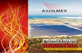 el desarrollo de la industria - asolmex.org · económico, contando con paneles solares de generación distribuida puede haber una ... en 33% y, por consiguiente, tiempos de ensamblaje