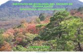 Presentación de PowerPoint - …ecologia.guanajuato.gob.mx/sitio/upload/articulos/139/files/... · Establecimiento de Ecotecnias . ACCIONES Acondicionamiento y Fortalecimiento de