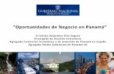 Generalidades de Panamá - conama11.vsf.es · • Área de Tierra: 75,517 Km2 ... Ley 42 del 20 de Abril , 2011 Establece nuevos incentivos para el uso de biocombustibles en el transporte