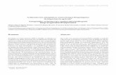 Actinomicetos antagónicos contra hongos fitopatógenos de ... · The actinomycetes are Gram-positive bacterias and not alcohol-acid resistant, characterized by branching filaments
