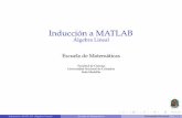 Induccion a MATLAB´ Algebra Lineal - Universidad …algebralineal/Induccion.pdf · I Sistemas de ecuaciones diferenciales lineales, etc. ... 2004 MathWorks aﬁrmo que´ MATLAB fue