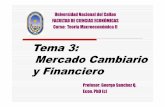 Tema 3: Mercado Cambiario y Financiero · Las inversiones productivas en el país Los préstamos de bancos extranjeros (al gobierno central, bancos, empresas o residentes en el país)