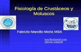Fisiología de Crustáceos y Moluscos - DSpace en …€¦ · Cap 1 –La Clase CRUSTACEA 1. Anatomía general. 2. Regulación osmótica e iónica de las formas marinas. 3. Crustáceos
