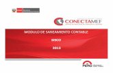 MODULO DE SANEAMIENTO CONTABLE - mef.gob.pe · 2013 (Disposiciones Complementarias Finales) ... acciones de saneamiento contable en el aplicativo web, de acuerdo a lo señalado en