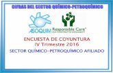ENCUESTA DE COYUNTURA IV Trimestre 2016 - …asoquim.legendsoft.com/wp-content/uploads/2015/08/COYUNTURA-20… · empleo var. % iv trim-2016 vs iii trim-2016 19 histÓrico coyuntura