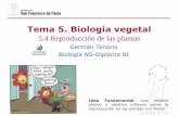 Tema 5. Biología vegetaldpbiologia.weebly.com/uploads/2/1/5/5/21553524/gtp_t5.biología... · Las fototropinas controlan diversas acciones, como el fototropismo. Los fitocromos son
