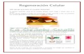 Regeneración Celular · 1 Regeneración Celular ¿De donde proviene el ... Radiestesia es la parte de la Radiónica que ... sido ejercidas por los seres humanos desde el origen de