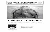 FACULTAD DE MEDICINA Universidad de Murcia · vetebra cervical y termina a la altura de la quinta vertebra torácica (C6-T5 ... vimos en radiología esto nos servirá de ... de los