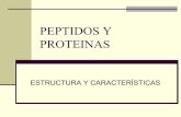 PEPTIDOS Y PROTEINAS - Páginas Web Educativas …sgpwe.izt.uam.mx/.../uami/jaislocr/BIOQUIMICA_I/PEPTIDOS_Y_PROT… · Proteínas de Transporte: ... Mioglobina 7.0 Hemoglobina 6.8