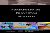 portafolio de Proyectos Mineros - gob.mx · Aquellos minerales o sustancias que en vetas, ... Minerales o grupos de minerales de uso industrial siguientes: actinolita, alumbre, alunita,