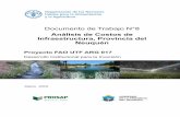Documento de Trabajo N°8 · Documento de Trabajo N°8 Análisis de Costos de Infraestructura, Provincia del Neuquén Proyecto FAO UTF ARG 017 Desarrollo Institucional para la Inversión
