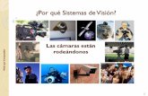 ¿Por qué Sistemas de Visión? - inf.upv.es · y de visión para robótica. ... Temario de teoría (1/2) ... Unidad 2 –Dispositivos y sistemas de visión Lentes y objetivos