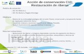 Acción de conservación C10: Restauración de riberas · Presupuesto E.C. IVA incluido.: 116.000 € ... Muro Krainer Enrejado vivo . Manta orgánica Biorrollo fibra Gavión flexible