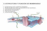 II. ESTRUCTURA Y FUNCIÓN DE MEMBRANAS - …depa.fquim.unam.mx/amyd/archivero/Membranas_Parte2_21229.pdf · las proteÍnas de membrana difunden libremente. la bicapa lipÍdica puede