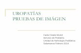 UROPATÍAS PRUEBAS DE IMÁGENcampus.usal.es/~ogyp/Clases teoricas 2013 2014/Nefrologia/urupatias... · Ectasia piélica, dilatación de pelvis renal, en las ... y dilatación ureteral