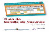 Gida Txertoen Poltsikoko · • DT/ VPO: 18 meses • T ... Verificar el registro informático de la vacuna y el registro en la cartilla . infantil Registro de la vacuna . administrada
