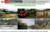 Área de Comunidades Campesinas y Nativas - …. MINAGRI_Titulacion.pdf · I. NORMAS LEGALES a. Constitución Política del Perú-1993 b. Decreto Ley Nº 22175.- Ley de Comunidades