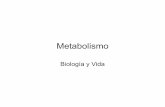 Metabolismo - pebelsyary.weebly.com€¦ · Digestión y Absorción constituye el Metabolismo intermedio. • Abarca las vías metabólicas que se ... • Proteinas.Son sustancias