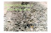 Paleontología y Estratigrafía - cuencas.fcien.edu.uycuencas.fcien.edu.uy/cursos/materiales/TablaGeo.pdf · La Estratigrafía, como parte de la Geología, estudia aquellos estratos