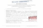 Tratamiento de Púrpura trombocitopénica Inmune …gruposdetrabajo.sefh.es/genesis/informes-genesis/... · Informe de Evaluación Romiplostim (Sept.-2009) Servicio de Farmacia C.H.U.S.