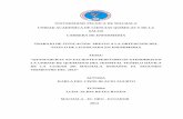 UNIVERSIDAD TÉCNICA DE MACHALA UNIDAD ACADEMICA DE ...repositorio.utmachala.edu.ec/bitstream/48000/763/7/CD00140-TESIS.pdf · Deslindo a la Universidad Técnica de Machala ... quemaduras