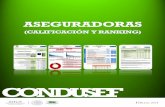 CONDUSEF - gob.mx · Comportamiento de ABA Seguros ante Condusef (Acciones de Defensa recibidas) Variación 2012 - 2013. Asuntos del sector Asegurador en Condusef. 61,192. Clientes