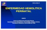 ENFERMEDAD HEMOLITICA PERINATAL - CERPO :: Centro de ...cerpo.cl/_items/File_002_00298_0030.pdf · esquema de liley 0.01 0.1 1 28 31 34 37 40 semanas ... zona b alta inmaduro (