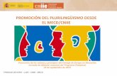 promoción del plurilingüismo desde el MECD/CNIIE · • Fomento del bilingüismo español-inglés a través de los programas del Bachillerato Internacional. ... • En el marco