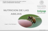 NUTRICION DE LAS ABEJAS - Instituto de Ciencias …ica.mxl.uabc.mx/apicultura/3. NUTRICION DE LAS ABEJAS.pdf · necesarios para el funcionamiento, crecimiento y mantenimiento de sus