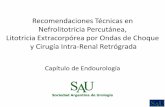 Recomendaciones Técnicas en Nefrolitotricia … · técnicos del tratamiento de la litiasis renal en nuestro país por el Capitulo de Endourología de la SAU. •Las guías que se