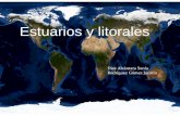 Estuarios y litorales - usuarios.geofisica.unam.mxusuarios.geofisica.unam.mx/cecilia/CT-SeEs/Litorales13-2.pdf · *Olas: movimientos ondulatorios de la superficie del mar producidos