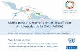 Marco para el Desarrollo de las Estadísticas Ambientales de … · 2018-06-13 · –Guiar a los países que se encuentran en etapas tempranas de ... –MDEA identifica los roles