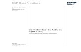 Contabilidad de Activos Fijos (162) - 190.221.56.124190.221.56.124/intranet/images/documentos/BBP/BPP... · Como consecuencia de la integración en SAP ERP, la Contabilidad de activos