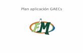Plan aplicación GAECs - Desarrollo del Conocimiento en … · INTEGRACION DE LOS COMITÉ MIXTOS LOCALES ... Maquinaria Resultados esperados ... OBSERVAR ACTOS Y CONDICIONES INSEGURAS