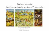Tuberculosis Leishmaniosis y otras Zoonosis - …fundacionio.org/docs/contenidos/contenidos_ii_curso_med_tropical... · OBJETIVOS PARA UN MEJOR CONTROL DE LA TB ... Efecto Booster