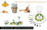 ¿Quieres ser un profesional de la gastronomía? · TÉCNICO EN ARTES CULINARIAS Oferta Académica: Debido al Proceso de Transformación Académica Curricular de todas las carreras,