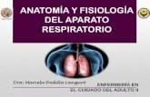 Anatomía Y FISIOLOGÍA DEL APARATO …enfermeria.uson.mx/wp-content/uploads/2018/02/Anatomia_y_Fisio... · •Nariz y fosas nasales. ... •Regulación de la ventilación •Ventilación