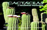 Cactáceas y Suculentas Mexicanas - ecologia.unam.mx · Cactáceas y Suculentas Mexicanas es una revista trimestral de circu-lación internacional y arbitrada, publicada por la Sociedad