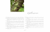 Glosario - Secretaria Distrital de Ambienteambientebogota.gov.co/documents/10157/126778/Arbolado7.pdf · una tercera parte de la altura total del árbol. Compuesta: cuando la hoja